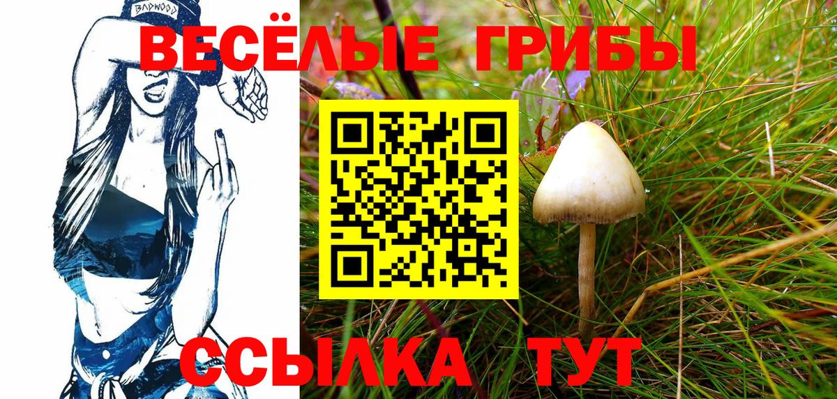 Галлюциногенные грибы Psilocybine cubensis Туймазы