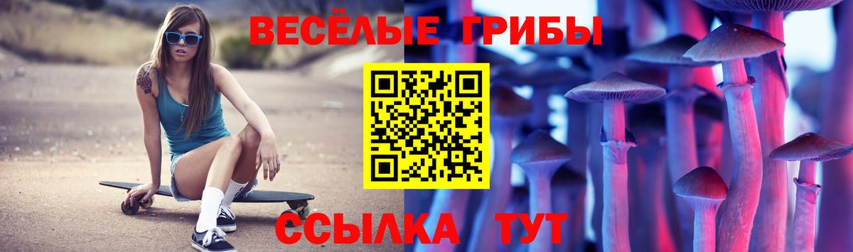 Туймазы  Псилоцибиновые грибы Cubensis  Вход с VPN  Галлюциногенные грибы Magic Shrooms 